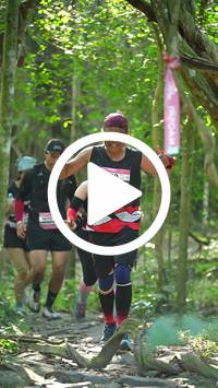 BIB:  <button type="button" onclick="openModal(28114128)" class="btn btn-primary btn-sm float-right" data-toggle="modal" data-target=".modal-high-quality">
                <i class="fa fa-download"></i> Download
                </button>