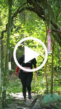 BIB:  <button type="button" onclick="openModal(28110343)" class="btn btn-primary btn-sm float-right" data-toggle="modal" data-target=".modal-high-quality">
                <i class="fa fa-download"></i> Download
                </button>