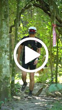 BIB:  <button type="button" onclick="openModal(28117541)" class="btn btn-primary btn-sm float-right" data-toggle="modal" data-target=".modal-high-quality">
                <i class="fa fa-download"></i> Download
                </button>