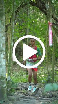 BIB:  <button type="button" onclick="openModal(28088048)" class="btn btn-primary btn-sm float-right" data-toggle="modal" data-target=".modal-high-quality">
                <i class="fa fa-download"></i> Download
                </button>