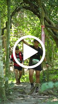 BIB:  <button type="button" onclick="openModal(28126405)" class="btn btn-primary btn-sm float-right" data-toggle="modal" data-target=".modal-high-quality">
                <i class="fa fa-download"></i> Download
                </button>