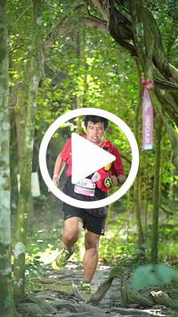 BIB:  <button type="button" onclick="openModal(28116261)" class="btn btn-primary btn-sm float-right" data-toggle="modal" data-target=".modal-high-quality">
                <i class="fa fa-download"></i> Download
                </button>