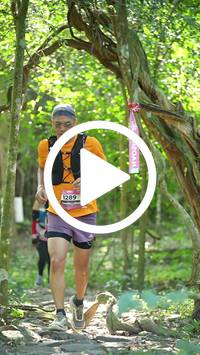 BIB:  <button type="button" onclick="openModal(28114670)" class="btn btn-primary btn-sm float-right" data-toggle="modal" data-target=".modal-high-quality">
                <i class="fa fa-download"></i> Download
                </button>