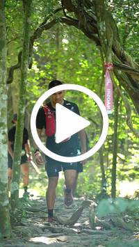 BIB:  <button type="button" onclick="openModal(28118063)" class="btn btn-primary btn-sm float-right" data-toggle="modal" data-target=".modal-high-quality">
                <i class="fa fa-download"></i> Download
                </button>