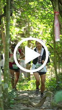 BIB:  <button type="button" onclick="openModal(28125480)" class="btn btn-primary btn-sm float-right" data-toggle="modal" data-target=".modal-high-quality">
                <i class="fa fa-download"></i> Download
                </button>