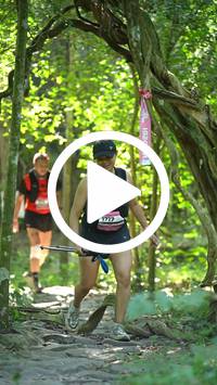 BIB:  <button type="button" onclick="openModal(28109697)" class="btn btn-primary btn-sm float-right" data-toggle="modal" data-target=".modal-high-quality">
                <i class="fa fa-download"></i> Download
                </button>