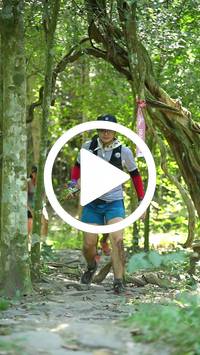 BIB:  <button type="button" onclick="openModal(28118946)" class="btn btn-primary btn-sm float-right" data-toggle="modal" data-target=".modal-high-quality">
                <i class="fa fa-download"></i> Download
                </button>