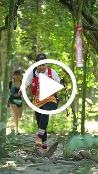 BIB:  <button type="button" onclick="openModal(28118243)" class="btn btn-primary btn-sm float-right" data-toggle="modal" data-target=".modal-high-quality">
                <i class="fa fa-download"></i> Download
                </button>