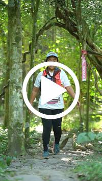 BIB:  <button type="button" onclick="openModal(28117017)" class="btn btn-primary btn-sm float-right" data-toggle="modal" data-target=".modal-high-quality">
                <i class="fa fa-download"></i> Download
                </button>