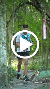 BIB:  <button type="button" onclick="openModal(28089530)" class="btn btn-primary btn-sm float-right" data-toggle="modal" data-target=".modal-high-quality">
                <i class="fa fa-download"></i> Download
                </button>