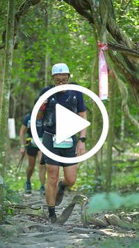 BIB:  <button type="button" onclick="openModal(28077985)" class="btn btn-primary btn-sm float-right" data-toggle="modal" data-target=".modal-high-quality">
                <i class="fa fa-download"></i> Download
                </button>