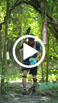 BIB:  <button type="button" onclick="openModal(28115202)" class="btn btn-primary btn-sm float-right" data-toggle="modal" data-target=".modal-high-quality">
                <i class="fa fa-download"></i> Download
                </button>