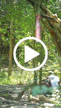 BIB:  <button type="button" onclick="openModal(28120563)" class="btn btn-primary btn-sm float-right" data-toggle="modal" data-target=".modal-high-quality">
                <i class="fa fa-download"></i> Download
                </button>