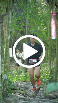 BIB:  <button type="button" onclick="openModal(28088449)" class="btn btn-primary btn-sm float-right" data-toggle="modal" data-target=".modal-high-quality">
                <i class="fa fa-download"></i> Download
                </button>