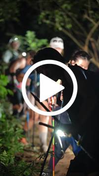 BIB:  <button type="button" onclick="openModal(28063470)" class="btn btn-primary btn-sm float-right" data-toggle="modal" data-target=".modal-high-quality">
                <i class="fa fa-download"></i> Download
                </button>