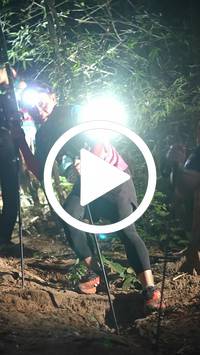 BIB:  <button type="button" onclick="openModal(28063121)" class="btn btn-primary btn-sm float-right" data-toggle="modal" data-target=".modal-high-quality">
                <i class="fa fa-download"></i> Download
                </button>