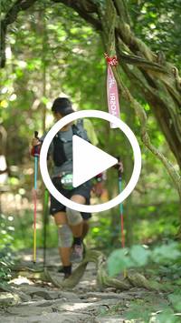 BIB:  <button type="button" onclick="openModal(28126849)" class="btn btn-primary btn-sm float-right" data-toggle="modal" data-target=".modal-high-quality">
                <i class="fa fa-download"></i> Download
                </button>