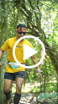 BIB:  <button type="button" onclick="openModal(28122312)" class="btn btn-primary btn-sm float-right" data-toggle="modal" data-target=".modal-high-quality">
                <i class="fa fa-download"></i> Download
                </button>