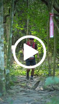 BIB:  <button type="button" onclick="openModal(28063811)" class="btn btn-primary btn-sm float-right" data-toggle="modal" data-target=".modal-high-quality">
                <i class="fa fa-download"></i> Download
                </button>