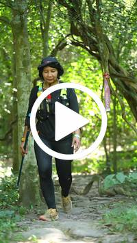 BIB:  <button type="button" onclick="openModal(28125096)" class="btn btn-primary btn-sm float-right" data-toggle="modal" data-target=".modal-high-quality">
                <i class="fa fa-download"></i> Download
                </button>