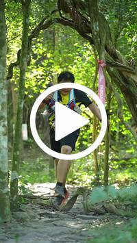 BIB:  <button type="button" onclick="openModal(28109689)" class="btn btn-primary btn-sm float-right" data-toggle="modal" data-target=".modal-high-quality">
                <i class="fa fa-download"></i> Download
                </button>