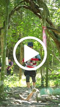 BIB:  <button type="button" onclick="openModal(28122281)" class="btn btn-primary btn-sm float-right" data-toggle="modal" data-target=".modal-high-quality">
                <i class="fa fa-download"></i> Download
                </button>