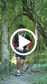 BIB:  <button type="button" onclick="openModal(28089913)" class="btn btn-primary btn-sm float-right" data-toggle="modal" data-target=".modal-high-quality">
                <i class="fa fa-download"></i> Download
                </button>