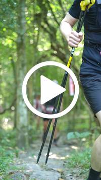 BIB:  <button type="button" onclick="openModal(28090067)" class="btn btn-primary btn-sm float-right" data-toggle="modal" data-target=".modal-high-quality">
                <i class="fa fa-download"></i> Download
                </button>