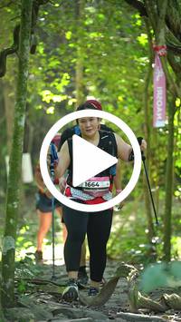 BIB:  <button type="button" onclick="openModal(28117318)" class="btn btn-primary btn-sm float-right" data-toggle="modal" data-target=".modal-high-quality">
                <i class="fa fa-download"></i> Download
                </button>