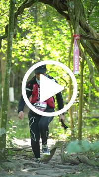 BIB:  <button type="button" onclick="openModal(28108495)" class="btn btn-primary btn-sm float-right" data-toggle="modal" data-target=".modal-high-quality">
                <i class="fa fa-download"></i> Download
                </button>