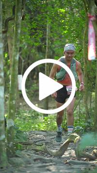 BIB:  <button type="button" onclick="openModal(28111158)" class="btn btn-primary btn-sm float-right" data-toggle="modal" data-target=".modal-high-quality">
                <i class="fa fa-download"></i> Download
                </button>