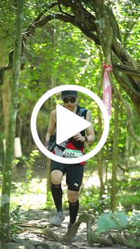 BIB:  <button type="button" onclick="openModal(28122874)" class="btn btn-primary btn-sm float-right" data-toggle="modal" data-target=".modal-high-quality">
                <i class="fa fa-download"></i> Download
                </button>