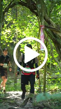 BIB:  <button type="button" onclick="openModal(28109648)" class="btn btn-primary btn-sm float-right" data-toggle="modal" data-target=".modal-high-quality">
                <i class="fa fa-download"></i> Download
                </button>