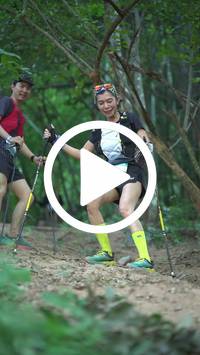 BIB:  <button type="button" onclick="openModal(28162199)" class="btn btn-primary btn-sm float-right" data-toggle="modal" data-target=".modal-high-quality">
                <i class="fa fa-download"></i> Download
                </button>