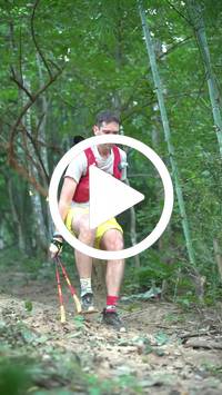 BIB:  <button type="button" onclick="openModal(27916047)" class="btn btn-primary btn-sm float-right" data-toggle="modal" data-target=".modal-high-quality">
                <i class="fa fa-download"></i> Download
                </button>