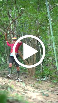 BIB:  <button type="button" onclick="openModal(27916135)" class="btn btn-primary btn-sm float-right" data-toggle="modal" data-target=".modal-high-quality">
                <i class="fa fa-download"></i> Download
                </button>