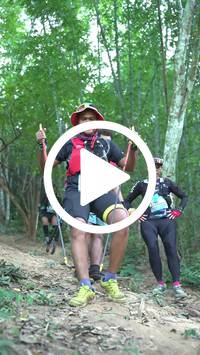 BIB:  <button type="button" onclick="openModal(27915994)" class="btn btn-primary btn-sm float-right" data-toggle="modal" data-target=".modal-high-quality">
                <i class="fa fa-download"></i> Download
                </button>