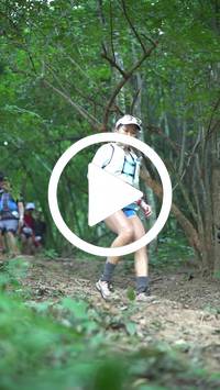 BIB:  <button type="button" onclick="openModal(27916077)" class="btn btn-primary btn-sm float-right" data-toggle="modal" data-target=".modal-high-quality">
                <i class="fa fa-download"></i> Download
                </button>