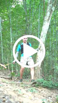 BIB:  <button type="button" onclick="openModal(27915957)" class="btn btn-primary btn-sm float-right" data-toggle="modal" data-target=".modal-high-quality">
                <i class="fa fa-download"></i> Download
                </button>