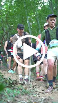 BIB:  <button type="button" onclick="openModal(27916053)" class="btn btn-primary btn-sm float-right" data-toggle="modal" data-target=".modal-high-quality">
                <i class="fa fa-download"></i> Download
                </button>