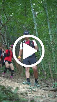 BIB:  <button type="button" onclick="openModal(27916185)" class="btn btn-primary btn-sm float-right" data-toggle="modal" data-target=".modal-high-quality">
                <i class="fa fa-download"></i> Download
                </button>