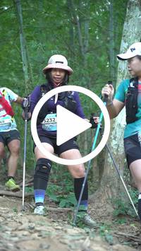 BIB:  <button type="button" onclick="openModal(27916026)" class="btn btn-primary btn-sm float-right" data-toggle="modal" data-target=".modal-high-quality">
                <i class="fa fa-download"></i> Download
                </button>