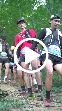 BIB:  <button type="button" onclick="openModal(27915998)" class="btn btn-primary btn-sm float-right" data-toggle="modal" data-target=".modal-high-quality">
                <i class="fa fa-download"></i> Download
                </button>