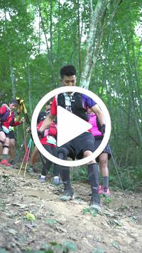 BIB:  <button type="button" onclick="openModal(27916057)" class="btn btn-primary btn-sm float-right" data-toggle="modal" data-target=".modal-high-quality">
                <i class="fa fa-download"></i> Download
                </button>