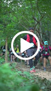 BIB:  <button type="button" onclick="openModal(27916080)" class="btn btn-primary btn-sm float-right" data-toggle="modal" data-target=".modal-high-quality">
                <i class="fa fa-download"></i> Download
                </button>