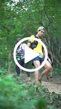 BIB:  <button type="button" onclick="openModal(27916075)" class="btn btn-primary btn-sm float-right" data-toggle="modal" data-target=".modal-high-quality">
                <i class="fa fa-download"></i> Download
                </button>