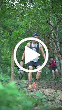 BIB:  <button type="button" onclick="openModal(27916171)" class="btn btn-primary btn-sm float-right" data-toggle="modal" data-target=".modal-high-quality">
                <i class="fa fa-download"></i> Download
                </button>