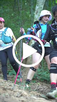 BIB:  <button type="button" onclick="openModal(27915951)" class="btn btn-primary btn-sm float-right" data-toggle="modal" data-target=".modal-high-quality">
                <i class="fa fa-download"></i> Download
                </button>