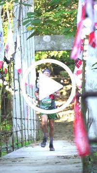 BIB:  <button type="button" onclick="openModal(27927457)" class="btn btn-primary btn-sm float-right" data-toggle="modal" data-target=".modal-high-quality">
                <i class="fa fa-download"></i> Download
                </button>