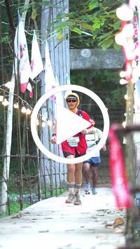 BIB:  <button type="button" onclick="openModal(27920686)" class="btn btn-primary btn-sm float-right" data-toggle="modal" data-target=".modal-high-quality">
                <i class="fa fa-download"></i> Download
                </button>